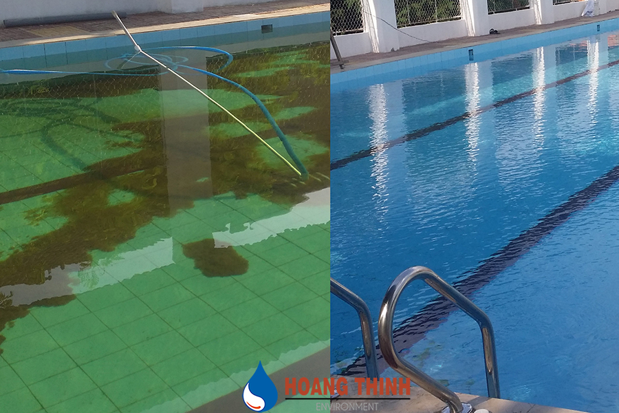 Hướng dẫn xử lý nước hồ bơi bị rêu tảo